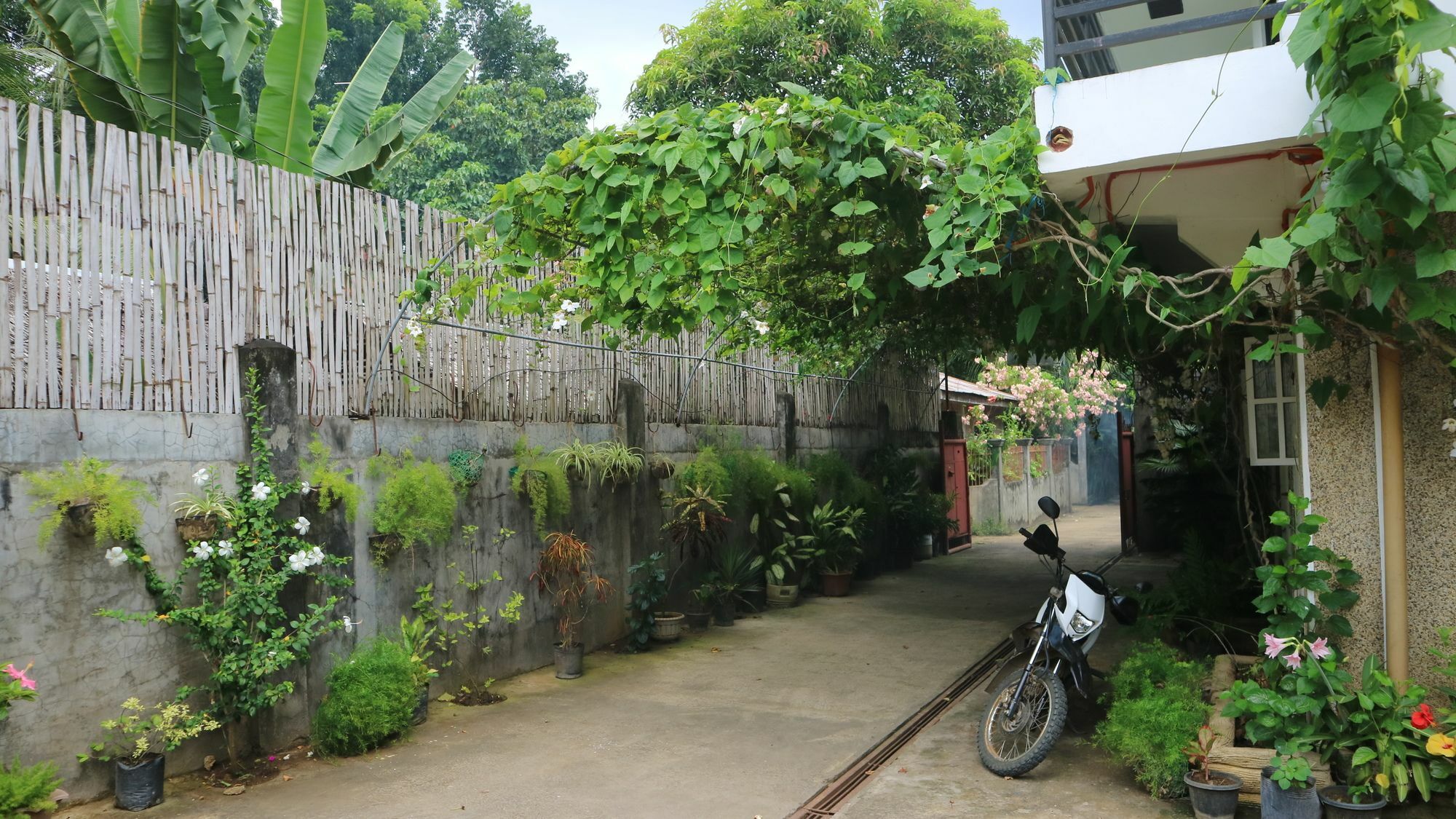 Charm Guest House Puerto Princesa Exteriér fotografie